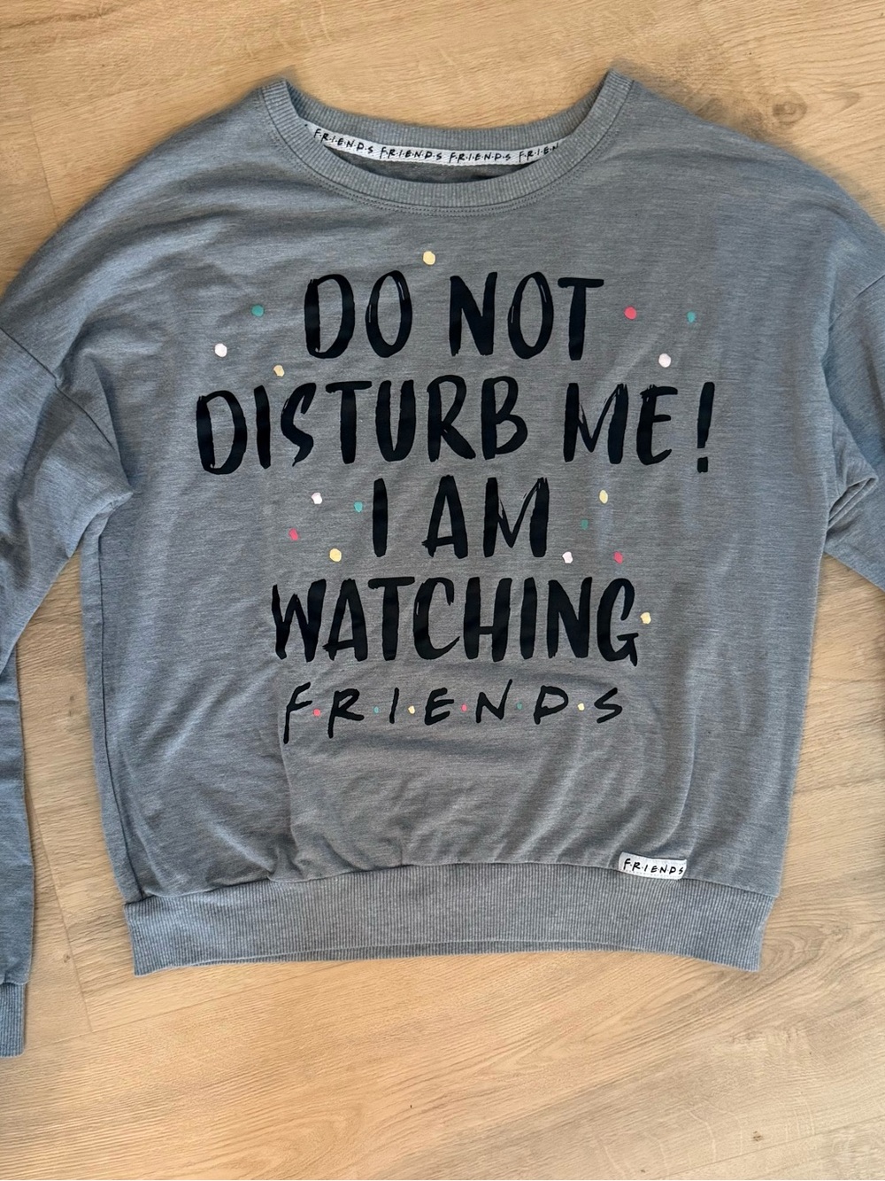Do Not Disturb Me I Am Watching Friends TV Show Sweatshirt Womens Small Gray